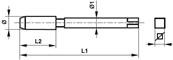 Taraud machine court HSS DIN 352 conique Whitworth pour détendeur Forme C W 28,8 x 14