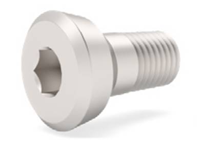 Vis screw M8 (solleft)