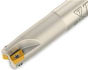 Fraise D10 d10 Z02 L080 APMT 06 End Mill