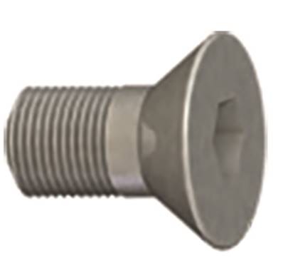 Vis screw M6