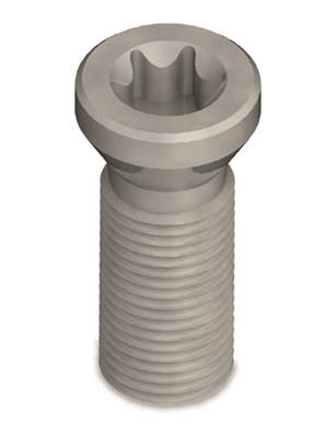 Vis screw M2,5