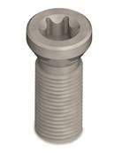 Vis screw M1,6