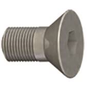 Vis screw M6